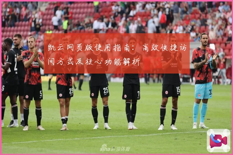 凯云网页版使用指南：高效快捷访问方式及核心功能解析