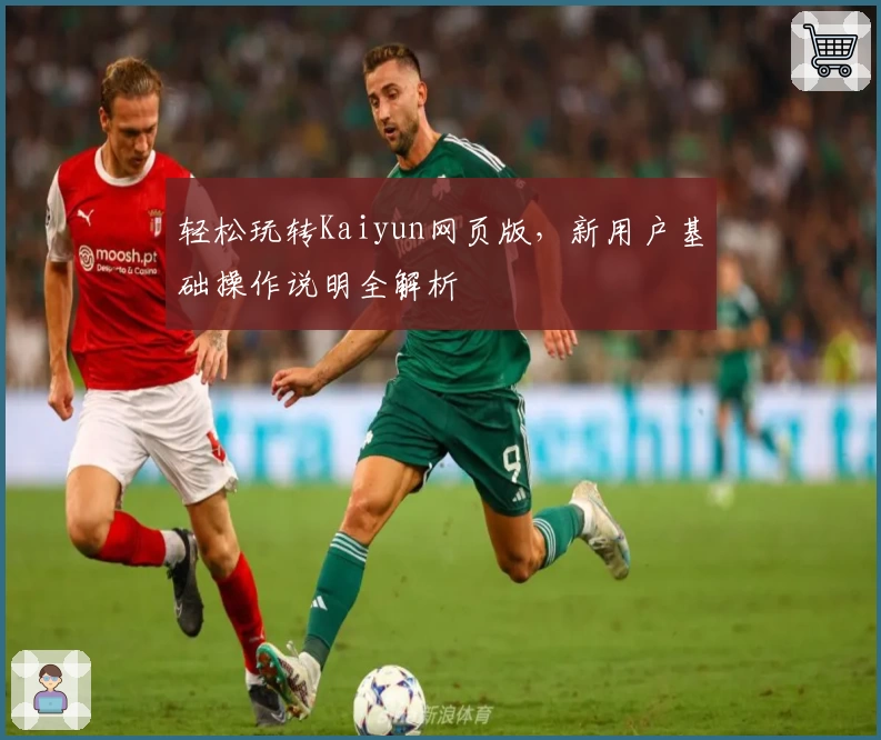 轻松玩转Kaiyun网页版，新用户基础操作说明全解析